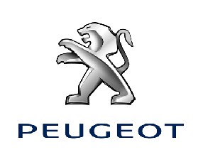 Pluguffan Auto (Agent PEUGEOT Pluguffan